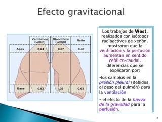 4
Los trabajos de West,
realizados con isótopos
radioactivos de xenón,
mostraron que la
ventilación y la perfusión
aumentan en sentido
cefálico-caudal,
diferencias que se
explicaron por:
-los cambios en la
presión pleural (debidos
al peso del pulmón) para
la ventilación
- el efecto de la fuerza
de la gravedad para la
perfusión.
 