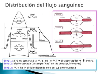 6
Zona 1:la Pa es cercana a la PA. Si Pa o PA  colapso capilar  interc.
Zona 2: efecto cascada (la sangre “cae” en las venas pulmonares)
Zona 3: PA < Pa  el flujo depende solo de p arteriovenosa
 