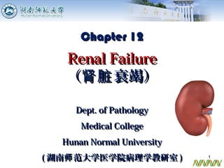 Dept. of PathologyDept. of Pathology
Medical CollegeMedical College
Hunan Normal UniversityHunan Normal University
(( 湖南 范大学医学院病理学教研室师湖南 范大学医学院病理学教研室师 )) 1
Chapter 12Chapter 12
Renal FailureRenal Failure
（ 衰竭）肾脏（ 衰竭）肾脏
 