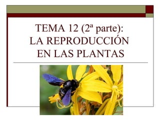 TEMA 12 (2ª parte):
LA REPRODUCCIÓN
EN LAS PLANTAS
 