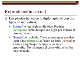 Reproducción sexual
 Las plantas tienen ciclo diplohaplonte con dos
tipos de individuos:
 Esporofito multicelular diploide. Produce
meiosporas haploides que dan lugar por mitosis al
otro individuo.
 Gametofito haploide. Tiene gametangios que den
lugar a los gametos. La fusión de éstos (singamia)
forma un zigoto que da lugar a un nuevo
esporofito. Normalmente el gametofito es la fase
más reducida.
 