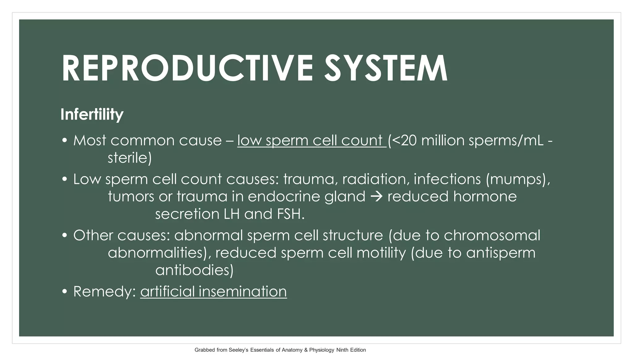 12_Reproductive System_1.pdf