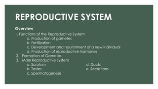 Reproductive Main Function 12_Reproductive System_1.pdf
