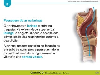 Funções do sistema respiratório
I2
CienTIC 9 Ciências Naturais - 9.o ano
Passagem do ar na laringe
O ar atravessa a laringe e entra na
traqueia. Na extremidade superior da
laringe, a epiglote impede o acesso dos
alimentos às vias respiratórias durante a
deglutição.
A laringe também participa na fonação ou
emissão de sons, pois a passagem do ar
expirado através da laringe provoca a
vibração das cordas vocais.
5/9
 