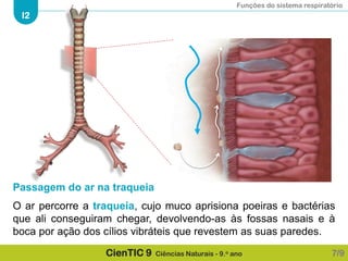 Funções do sistema respiratório
I2
CienTIC 9 Ciências Naturais - 9.o ano
Passagem do ar na traqueia
O ar percorre a traqueia, cujo muco aprisiona poeiras e bactérias
que ali conseguiram chegar, devolvendo-as às fossas nasais e à
boca por ação dos cílios vibráteis que revestem as suas paredes.
7/9
 