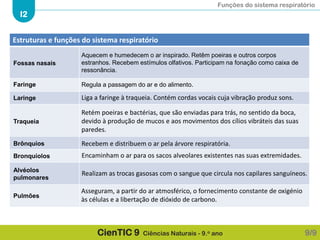 Funções do sistema respiratório
I2
CienTIC 9 Ciências Naturais - 9.o ano 9/9
Estruturas e funções do sistema respiratório
Fossas nasais
Aquecem e humedecem o ar inspirado. Retêm poeiras e outros corpos
estranhos. Recebem estímulos olfativos. Participam na fonação como caixa de
ressonância.
Faringe Regula a passagem do ar e do alimento.
Laringe Liga a faringe à traqueia. Contém cordas vocais cuja vibração produz sons.
Traqueia
Retém poeiras e bactérias, que são enviadas para trás, no sentido da boca,
devido à produção de mucos e aos movimentos dos cílios vibráteis das suas
paredes.
Brônquios Recebem e distribuem o ar pela árvore respiratória.
Bronquíolos Encaminham o ar para os sacos alveolares existentes nas suas extremidades.
Alvéolos
pulmonares
Realizam as trocas gasosas com o sangue que circula nos capilares sanguíneos.
Pulmões
Asseguram, a partir do ar atmosférico, o fornecimento constante de oxigénio
às células e a libertação de dióxido de carbono.
 
