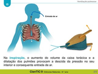Ventilação pulmonar
I3
CienTIC 9 Ciências Naturais - 9.o ano
Na inspiração, o aumento do volume da caixa torácica e a
dilatação dos pulmões provocam a descida da pressão no seu
interior e consequente entrada de ar.
Entrada de ar
3/9
 