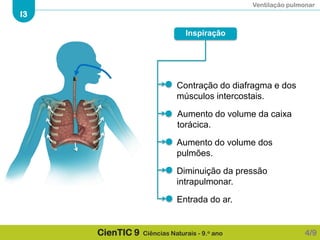 Ventilação pulmonar
I3
CienTIC 9 Ciências Naturais - 9.o ano
Inspiração
Aumento do volume da caixa
torácica.
Contração do diafragma e dos
músculos intercostais.
Aumento do volume dos
pulmões.
Diminuição da pressão
intrapulmonar.
Entrada do ar.
4/9
 