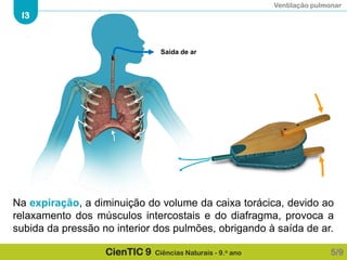 Ventilação pulmonar
I3
CienTIC 9 Ciências Naturais - 9.o ano
Na expiração, a diminuição do volume da caixa torácica, devido ao
relaxamento dos músculos intercostais e do diafragma, provoca a
subida da pressão no interior dos pulmões, obrigando à saída de ar.
Saída de ar
5/9
 