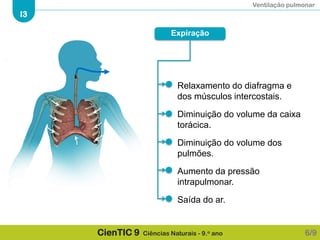 Ventilação pulmonar
I3
CienTIC 9 Ciências Naturais - 9.o ano
Expiração
Diminuição do volume da caixa
torácica.
Relaxamento do diafragma e
dos músculos intercostais.
Diminuição do volume dos
pulmões.
Aumento da pressão
intrapulmonar.
Saída do ar.
6/9
 