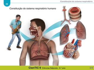 Constituição do sistema respiratório
I1
CienTIC 9 Ciências Naturais - 9.o ano 2/6
Constituição do sistema respiratório humano
 