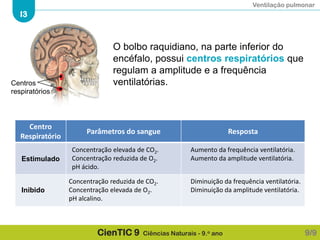Ventilação pulmonar
I3
CienTIC 9 Ciências Naturais - 9.o ano
Centro
Respiratório
Parâmetros do sangue Resposta
Centros
respiratórios
Estimulado
Concentração elevada de CO2.
Concentração reduzida de O2.
pH ácido.
Aumento da frequência ventilatória.
Aumento da amplitude ventilatória.
Inibido
Concentração reduzida de CO2.
Concentração elevada de O2.
pH alcalino.
Diminuição da frequência ventilatória.
Diminuição da amplitude ventilatória.
O bolbo raquidiano, na parte inferior do
encéfalo, possui centros respiratórios que
regulam a amplitude e a frequência
ventilatórias.
9/9
 