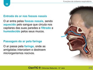 Funções do sistema respiratório
I2
CienTIC 9 Ciências Naturais - 9.o ano
Entrada do ar nas fossas nasais
O ar entra pelas fossas nasais, sendo
aquecido pelo sangue que circula nos
capilares das suas paredes e filtrado e
humedecido pelos seus mucos.
Passagem do ar pela faringe
O ar passa pela faringe, onde as
amígdalas intercetam e destroem
microrganismos nocivos.
4/9
 