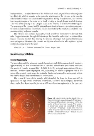 Chapter 1: Basic Anatomy ● 7
compartments. The space known as the premacular bursa, or precortical vitreous pocket
(see Fig 1-1), which is anterior to the posterior attachment of the vitreous to the macula,
is believed to decrease the tractional forces generated during ocular motion. The vitreous
inserts on the edges of the optic nerve head, creating a funnel-­
shaped void of vitreous.
This void is the opening of the Cloquet canal and is referred to as the area of Martegiani.
The anatomy of the vitreous is difficult to delineate in vivo; however, the vitreous appears
to contain interconnected cisterns and canals, most notably the ciliobursal canal that con-
nects the ciliary body and macula.
The vitreous also contains hyalocytes, which arise from bone marrow–­
derived stem
cells. Oxygen is derived through diffusion from the choroidal and ret­i­nal circulation. Hya-
locytes consume most of this, limiting the amount of oxygen that reaches the lens and
anterior segment. However, the vitreous has high ascorbate levels, which protect against
oxidative damage (eg, to the lens).
Worst JGF, Los LI. Cisternal Anatomy of the Vitreous. Kugler; 1995.
Neurosensory Ret­ina
Ret­i­nal Topography
The central area of the ret­
ina, or macula (sometimes called the area centralis), mea­sures
approximately 5.5 mm in dia­
meter and is centered between the optic nerve head and
the temporal vascular arcades (Fig 1-2, ­Table 1-1). On histologic examination, this area
features 2 or more layers of ganglion cells, accounting for half of all ganglion cells in the
ret­
ina. Oxygenated carotenoids, in par­
tic­
u­
lar lutein and zeaxanthin, accumulate within
the central macula and contribute to its yellow color.
The central 1.5 mm of the macula, which is called the fovea (or fovea centralis), is
specialized for high spatial acuity and color vision. The fovea has a margin; a downward
slope; and a floor known as the foveola, a 0.35-­
mm-­
diameter region where the cones are
a
b
c
d
e
Figure 1-2 Anatomical macula, also known as
the area centralis or posterior pole.The anatom-
ical fovea and foveola are contained within the
center of the anatomical macula. The borders
of anatomical areas are indicated by letters:
a=umbo; b=foveola; c=fovea; zone between
c and d = parafoveal macula; zone between
d and e=perifoveal ­macula; e=macula. (Courtesy
of Hermann D. Schubert, MD.)
 