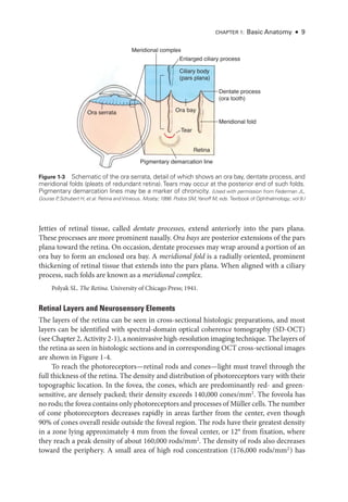 Chapter 1: Basic Anatomy ● 9
Jetties of ret­
i­
nal tissue, called dentate pro­cesses, extend anteriorly into the pars plana.
­
These pro­
cesses are more prominent nasally. Ora bays are posterior extensions of the pars
plana ­
toward the ret­
ina. On occasion, dentate pro­
cesses may wrap around a portion of an
ora bay to form an enclosed ora bay. A meridional fold is a radially oriented, prominent
thickening of ret­
i­
nal tissue that extends into the pars plana. When aligned with a ciliary
pro­
cess, such folds are known as a meridional complex.
Polyak SL. The Ret­i­na. University of Chicago Press; 1941.
Ret­
i­
nal Layers and Neurosensory Ele­
ments
The layers of the ret­
ina can be seen in cross-­
sectional histologic preparations, and most
layers can be identified with spectral-­
domain optical coherence tomography (SD-­
OCT)
(see Chapter 2, Activity 2-1), a noninvasive high-­resolution imaging technique. The layers of
the ret­
ina as seen in histologic sections and in corresponding OCT cross-­
sectional images
are shown in Figure 1-4.
To reach the photoreceptors—­
retinal rods and cones—­
light must travel through the
full thickness of the ret­
ina. The density and distribution of photoreceptors vary with their
topographic location. In the fovea, the cones, which are predominantly red-­and green-­
sensitive, are densely packed; their density exceeds 140,000 cones/mm2
. The foveola has
no rods; the fovea contains only photoreceptors and pro­cesses of Müller cells. The number
of cone photoreceptors decreases rapidly in areas farther from the center, even though
90% of cones overall reside outside the foveal region. The rods have their greatest density
in a zone lying approximately 4 mm from the foveal center, or 12° from fixation, where
they reach a peak density of about 160,000 rods/mm2
. The density of rods also decreases
­
toward the periphery. A small area of high rod concentration (176,000 rods/mm2
) has
Pigmentary demarcation line
Retina
Ciliary body
(pars plana)
Dentate process
(ora tooth)
Enlarged ciliary process
Meridional complex
Tear
Ora bay
Ora serrata
Meridional fold
Figure 1-3 Schematic of the ora serrata, detail of which shows an ora bay, dentate pro­
cess, and
meridional folds (pleats of redundant ret­
ina). Tears may occur at the posterior end of such folds.
Pigmentary demarcation lines may be a marker of chronicity. (Used with permission from Federman JL,
Gouras P
, Schubert H, et al. Ret­ina andVitreous. Mosby; 1998. Podos SM,Yanoff M, eds. Textbook of Ophthalmology; vol 9.)
 