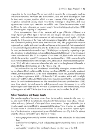 Chapter 1: Basic Anatomy ● 13
responsible for the cone shape. The myoid, which is closer to the photoreceptor nucleus,
contains endoplasmic reticulum. The mitochondria, cilia, and inner discs together form
the inner-­
outer segment junction, which provides evidence of the origin of the photo-
receptor as a modified sensory cilium prone to the full range of ciliopathies. Rod outer
segments may contain up to 1000 discs stacked like coins. ­
These discs are renewed in and
shed from the outer ret­
ina and are phagocytosed by the ret­
i­
nal pigment epithelium (RPE)
for pro­
cessing and recycling of components.
Cone photoreceptors have a 1-­
to-1 synapse with a type of bipolar cell known as a
midget bipolar cell. Other types of bipolar cells also synapse with each cone. Conversely,
more than 1 rod—­
and sometimes more than 100 rods—­
converge on each bipolar cell. Bipo-
lar cells, the first neurons of the visual pathway, synapse with ganglion cells, the second neu-
rons of the visual pathway, in the inner plexiform layer (IPL). The ganglion cells summate
responses from bipolar and amacrine cells and develop action potentials that are conducted
to the dorsolateral geniculate nucleus and the third neuron in the brain. Amacrine cells in
the inner portion of the inner nuclear layer (INL) help pro­
cess signals by responding to spe-
cific alterations in ret­i­nal stimuli, such as sudden changes in light intensity or the presence of
certain sizes of stimuli. The INL is composed of horizontal cells, bipolar cells, and amacrine
cells. In the nerve fiber layer (NFL), axons of the ganglion cell layer (GCL) course along the
inner portion of the ret­
ina to form the optic nerve, a brain tract. The internal limiting mem-
brane (ILM), which is not a true membrane but is formed by the footplates of Müller cells, is
attached to the posterior cortical gel of the vitreous (Fig 1-7).
Two additional intraret­
i­
nal “membranes” identified by histologists, the external limit-
ing membrane (ELM) and the ­
middle limiting membrane (MLM), are actually junctional
systems, not true membranes. At the outer extent of the Müller cells, zonular attachments
between photoreceptors and Müller cells form the ELM, a structure vis­
i­
ble with both light
microscopy and OCT. Thus, the Müller cells, whose nuclei reside in the INL, course through
almost the entire thickness of the ret­
ina. The inner third of the outer plexiform layer (OPL)
has a linear density in which synaptic and desmosomal connections occur between the
photoreceptor inner fibers and the pro­
cesses of the bipolar cells. This linear density, which
is also apparent with OCT, is the junctional system that has been called the MLM.
Ret­
i­
nal Vasculature and Oxygen Supply
The vascular supply of the ret­
ina comes from the ret­
i­
nal circulation for the inner ret­
ina and indirectly from the choroidal circulation for the avascular outer ret­
ina. The cen-
tral ret­
i­
nal artery (a branch of the ophthalmic artery) enters the eye and divides into 4
branches, each supplying blood to a quadrant of the ret­
ina. ­
These branches are located in
the inner ret­
ina. A cilioret­
i­
nal artery, derived from the ciliary circulation, supplies a por-
tion of the inner ret­
ina in approximately one-­
third of ­
human eyes (Fig 1-8). On a tissue
level, the ret­
ina is supplied by up to 4 layers of vessels:
• radial peripapillary capillary network, located in the NFL and around the optic nerve
head
• superficial vascular plexus, which includes the superficial capillary plexus, in the ret­
i­nal GCL
• deep capillary complex with 2 capillary beds, one on ­
either side of the INL
 