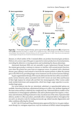 Retina and Vitreous ....................