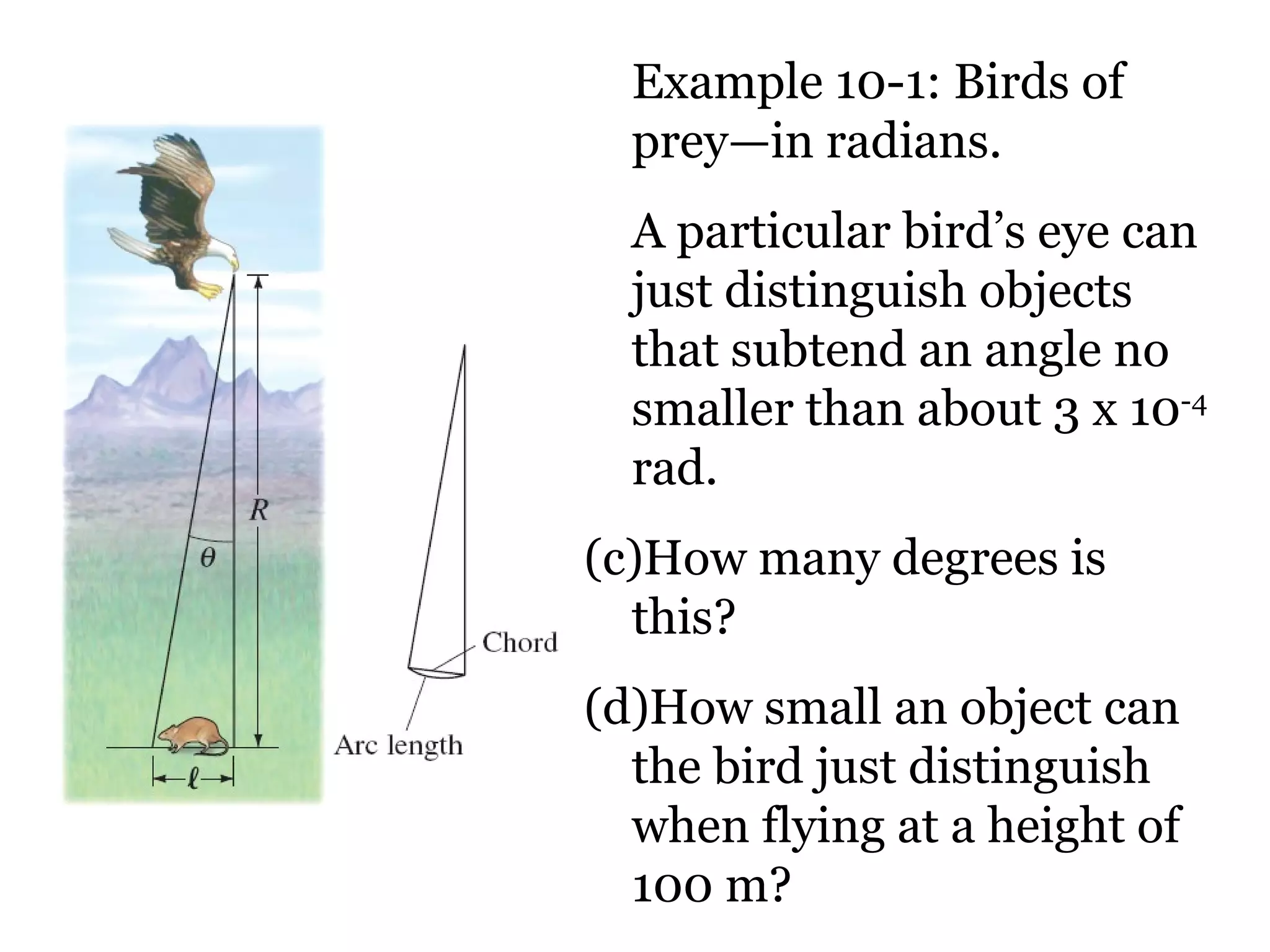 Example 10-1: Birds of prey—in radians. A particular bird’s eye can just distinguish objects that subtend an angle no smaller than about 3 x 10 -4  rad.  How many degrees is this?  How small an object can the bird just distinguish when flying at a height of 100 m? 