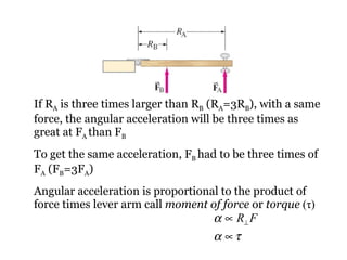 If R A  is three times larger than R B  (R A =3R B ), with a same force, the angular acceleration will be three times as great at F A  than F B To get the same acceleration, F B  had to be three times of F A  (F B =3F A ) Angular acceleration is proportional to the product of force times lever arm call  moment of force  or  torque   ( τ ) 