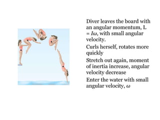 Diver leaves the board with an angular momentum, L =  I ω , with small angular velocity. Curls herself, rotates more quickly Stretch out again, moment of inertia increase, angular velocity decrease Enter the water with small angular velocity,  ω   