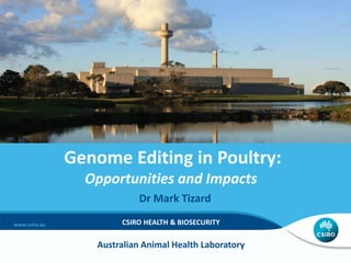 CSIRO HEALTH & BIOSECURITY
Genome Editing in Poultry:
Opportunities and Impacts
Dr Mark Tizard
Australian Animal Health Laboratory
 