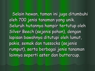 Selain hewan, taman ini juga ditumbuhi oleh 700 jenis tanaman yang unik. Seluruh hutannya hampir tertutup oleh Silver Beech (sejenis pohon), dengan lapisan bawahnya ditutupi oleh lumut, pakis, semak dan tussocks (sejenis rumput), serta berbagai jenis tanaman lainnya seperti aster dan buttercup.  
