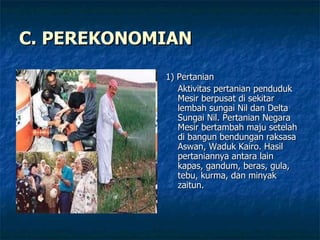 C. PEREKONOMIAN 1) Pertanian Aktivitas pertanian penduduk Mesir berpusat di sekitar lembah sungai Nil dan Delta Sungai Nil. Pertanian Negara Mesir bertambah maju setelah di bangun bendungan raksasa Aswan, Waduk Kairo. Hasil pertaniannya antara lain kapas, gandum, beras, gula, tebu, kurma, dan minyak zaitun. 