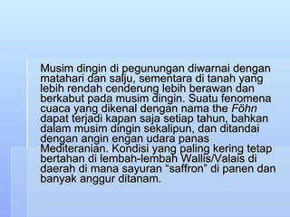 Musim dingin di pegunungan diwarnai dengan matahari dan salju, sementara di tanah yang lebih rendah cenderung lebih berawan dan berkabut pada musim dingin. Suatu fenomena cuaca yang dikenal dengan nama the  Föhn  dapat terjadi kapan saja setiap tahun, bahkan dalam musim dingin sekalipun, dan ditandai dengan angin engan udara panas Mediteranian. Kondisi yang paling kering tetap bertahan di lembah-lembah Wallis/Valais di daerah di mana sayuran “saffron” di panen dan banyak anggur ditanam.  