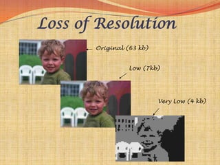 Loss of Resolution
       Original (63 kb)


                 Low (7kb)




                          Very Low (4 kb)
 