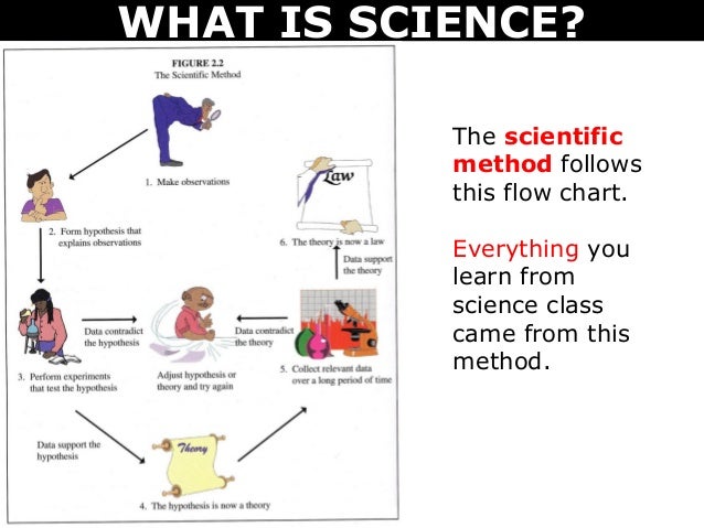 12 scientific method flow chart showing scientific method