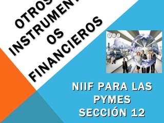 OTROS INSTRUMENTOS FINANCIEROS NIIF PARA LAS PYMES SECCIÓN 12 