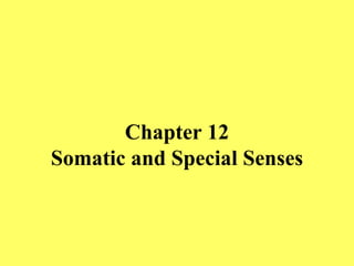Chapter 12 Somatic and Special Senses 