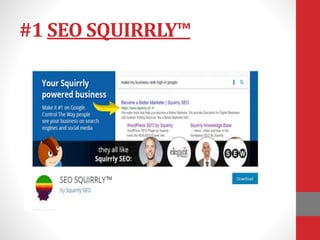 #1 SEO SQUIRRLY™
 