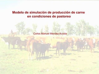 Carlos Manuel Méndez Acosta
Modelo de simulación de producción de carne
en condiciones de pastoreo
 