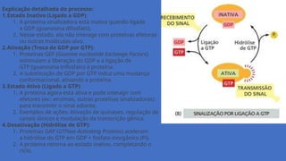 Explicação detalhada do processo:
1.Estado Inativo (Ligado a GDP):
1. A proteína sinalizadora está inativa quando ligada
a GDP (guanosina difosfato).
2. Nesse estado, ela não interage com proteínas efetoras
ou outras moléculas-alvo.
2.Ativação (Troca de GDP por GTP):
1. Proteínas GEF (Guanine nucleotide Exchange Factors)
estimulam a liberação do GDP e a ligação de
GTP (guanosina trifosfato) à proteína.
2. A substituição de GDP por GTP induz uma mudança
conformacional, ativando a proteína.
3.Estado Ativo (Ligado a GTP):
1. A proteína agora está ativa e pode interagir com
efetores (ex.: enzimas, outras proteínas sinalizadoras)
para transmitir o sinal adiante.
2. Exemplos de ações: Ativação de quinases, regulação de
canais iônicos e modulação da transcrição gênica.
4.Desativação (Hidrólise de GTP):
1. Proteínas GAP (GTPase-Activating Proteins) aceleram
a hidrólise do GTP em GDP + fosfato inorgânico (Pi).
2. A proteína retorna ao estado inativo, completando o
ciclo.
 