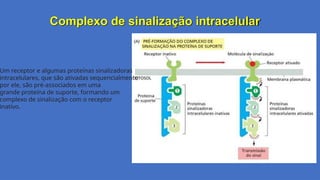 Complexo de sinalização intracelular
Um receptor e algumas proteínas sinalizadoras
intracelulares, que são ativadas sequencialmente
por ele, são pré-associados em uma
grande proteína de suporte, formando um
complexo de sinalização com o receptor
inativo.
 