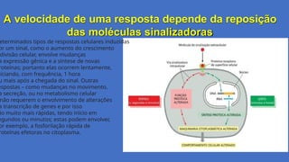 A velocidade de uma resposta depende da reposição
das moléculas sinalizadoras
eterminados tipos de respostas celulares induzidas
or um sinal, como o aumento do crescimento
divisão celular, envolve mudanças
a expressão gênica e a síntese de novas
roteínas; portanto elas ocorrem lentamente,
niciando, com frequência, 1 hora
u mais após a chegada do sinal. Outras
espostas – como mudanças no movimento,
a secreção, ou no metabolismo celular
não requerem o envolvimento de alterações
a transcrição de genes e por isso
ão muito mais rápidas, tendo início em
egundos ou minutos; estas podem envolver,
or exemplo, a fosforilação rápida de
roteínas efetoras no citoplasma.
 