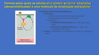 Formas pelas quais as células-alvo podem se tornar adaptadas
(dessensibilizadas) a uma molécula de sinalização extracelular.
1.Produção de Proteínas Inibidoras:
1. Processo:
1. A célula sintetiza proteínas que bloqueiam
componentes da via de sinalização.
2. Exemplos:
1.Inibidores de quinases (ex.: PKI, que inibe a
PKA).
2.Proteínas sequestradoras (ex.: Gβγ, que
competem por alvos).
2. Efeito: Interrompe a transdução do sinal em múltiplos
níveis.
 