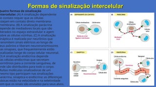 Formas de sinalização intercelular
Gláucia Ma3rques
Quatro formas de sinalização
ntercelular. (A) A sinalização dependente
de contato requer que as células
estejam em contato direto membrana-
membrana. (B) A sinalização parácrina
depende de mediadores locais que são
iberados no espaço extracelular e agem
obre as células vizinhas. (C) A sinalização
ináptica é realizada por neurônios que
ransmitem sinais elétricos ao longo de
eus axônios e liberam neurotransmissores
nas sinapses, que frequentemente estão
ocalizadas longe do corpo celular neuronal.
D) A sinalização endócrina depende
das células endócrinas que secretam
hormônios para a corrente sanguínea, de
onde são distribuídos para todo o corpo.
Muitas moléculas sinalizadoras de um
mesmo tipo participam nas sinalizações
parácrina, sináptica e endócrina: as diferenças
básicas estão na velocidade e na seletividade
om que os sinais são enviados para seus alvos.
 