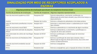 SINALIZAÇÃO POR MEIO DE RECEPTORES ACOPLADOS A
ENZIMAS
34
 