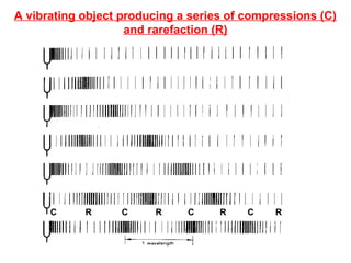 A vibrating object producing a series of compressions (C)
and rarefaction (R)
C C C CRR R R
 