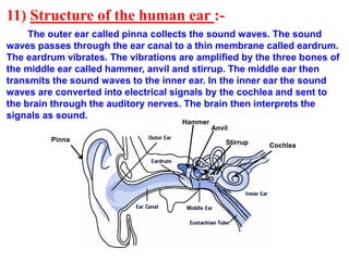 11) Structure of the human ear :-
The outer ear called pinna collects the sound waves. The sound
waves passes through the ear canal to a thin membrane called eardrum.
The eardrum vibrates. The vibrations are amplified by the three bones of
the middle ear called hammer, anvil and stirrup. The middle ear then
transmits the sound waves to the inner ear. In the inner ear the sound
waves are converted into electrical signals by the cochlea and sent to
the brain through the auditory nerves. The brain then interprets the
signals as sound.
Hammer
Anvil
Stirrup Cochlea
Pinna
 