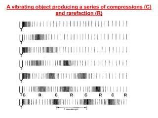 A vibrating object producing a series of compressions (C)
and rarefaction (R)
C C C C
R
R R R
 
