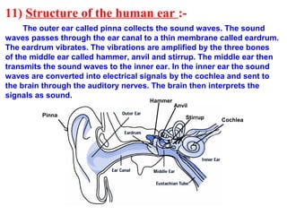 11) Structure of the human ear :-
The outer ear called pinna collects the sound waves. The sound
waves passes through the ear canal to a thin membrane called eardrum.
The eardrum vibrates. The vibrations are amplified by the three bones
of the middle ear called hammer, anvil and stirrup. The middle ear then
transmits the sound waves to the inner ear. In the inner ear the sound
waves are converted into electrical signals by the cochlea and sent to
the brain through the auditory nerves. The brain then interprets the
signals as sound.
Hammer
Anvil
Stirrup Cochlea
Pinna
 