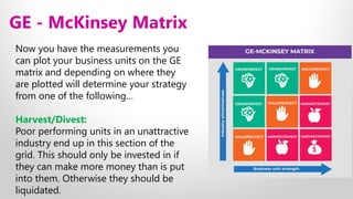 12 Strategic Product Management - GE-McKinsey Matrix | PDF