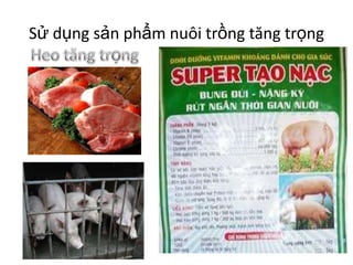 Sử dụng sản phẩm nuôi trồng tăng trọng
 