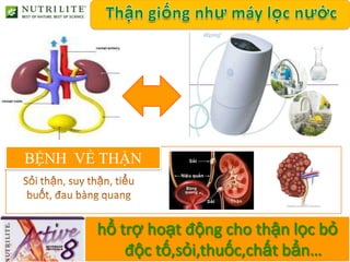 B
    BỆNH VỀ THẬN
 