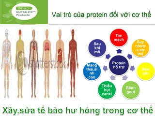 Vai trò của protein đối với cơ thể

                             Tim
                             mạch
                                           Suy
               Sau
                                          nhượ
               khi
                                          c cơ
               mổ
                                           thể

                             Protein
           Mang              hỗ trợ
           thai,si                            Béo
             nh                               phì
            con

                     Thiếu
                                       Bệnh
                      hụt
                                       gout
                     canxi
 