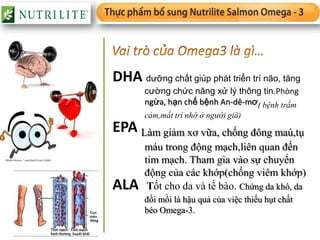 DHA dưỡng chất giúp phát triển trí não, tăng
       cường chức năng xử lý thông tin.Phòng
       ngừa, hạn chế bệnh An-dê-mơ( bệnh trầm
       cảm,mất trí nhớ ở người già)
EPA Làm giảm xơ vữa, chống đông maú,tụ
       máu trong động mạch,liên quan đến
       tim mạch. Tham gia vào sự chuyển
       động của các khớp(chống viêm khớp)
ALA     Tốt cho da và tế bào. Chứng da khô, da
       đồi mồi là hậu quả của việc thiếu hụt chất
       béo Omega-3.
 