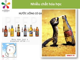 Nhiều chất hóa học

NƯỚC UỐNG CÓ GA
 